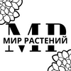 Мир Растений