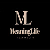 MeaningLife