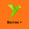 Восток +