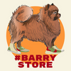 Barry Store