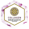 Collagen Live Wellness