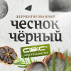 CIBIC - завод производитель