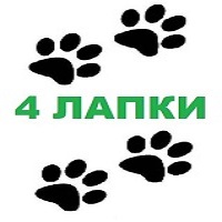 4 лапки