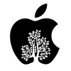 Apple_Tree