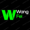 Wang fei