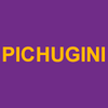 PICHUGINI