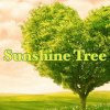 Sunshine Tree