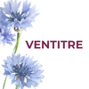 VENTITRE