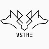 VSTAE