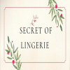Secret of Lingerie