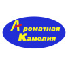 Ароматная камелия