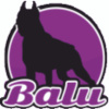 Balu for dogs