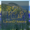 LavanD'Amore