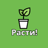 Расти!