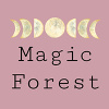 Magic Forest | Блокноты