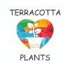 Terracotta Plants