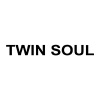 Twin soul
