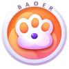 BAOER