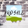 PRO SALE