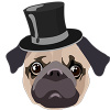 Mr.Pug