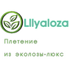 Lilyaloza