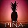 PINA Beauty