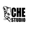 CHESTUDIO