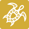 ART-on-GOLD