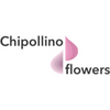 CHIPOLLINO-FLOWERS