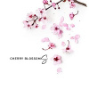 Cherry blossoms shop