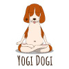 Yogi Dogi