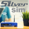 Silver sim