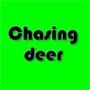 Chasing deer