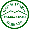 Чаи и травы Кавказа