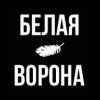 Белая Ворона