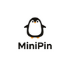 Mini Pin