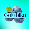 Golubika