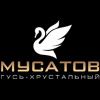 ИП Мусатов Д.А