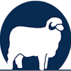 MERINO