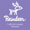 Reindeer детские коляски