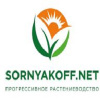 Sornyakoff.net
