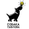 Собака Павлова