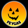 Feygas