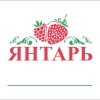 Сад Янтарь