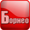 БОРНЕО24