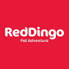 Red Dingo