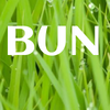 BUN