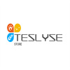 Teslyse  Store