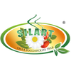 SILART