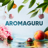 Aromaguru
